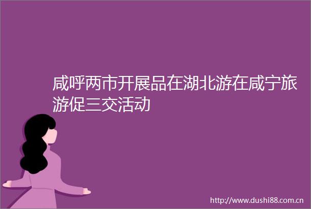 咸呼两市开展品在湖北游在咸宁旅游促三交活动