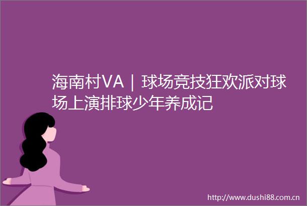 海南村VA｜球场竞技狂欢派对球场上演排球少年养成记