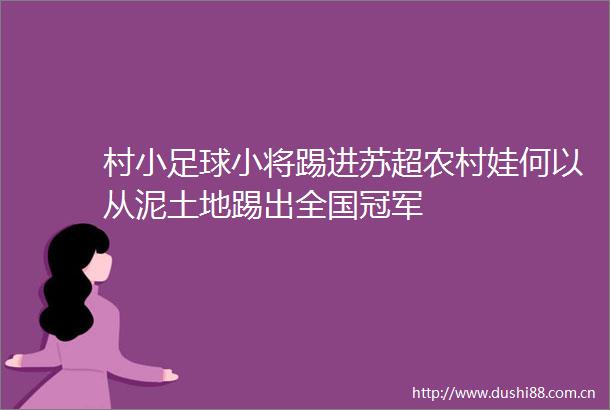 村小足球小将踢进苏超农村娃何以从泥土地踢出全国冠军