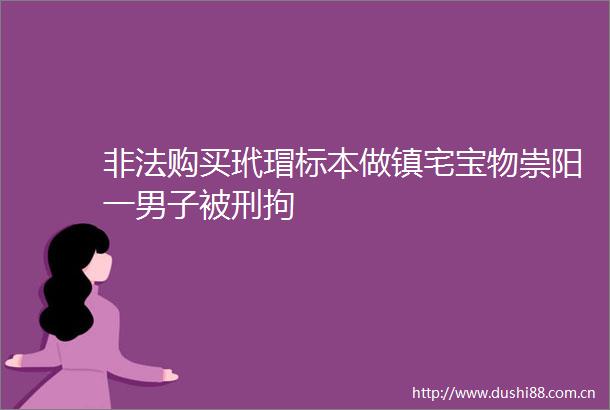 购买玳瑁标本做镇宅宝物崇阳一男子被刑拘