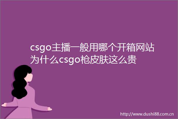 csgo主播一般用哪个开箱网站为什么csgo皮肤这么贵