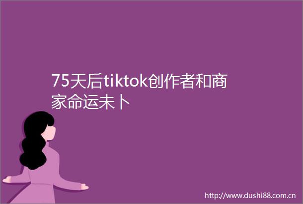 75天后tiktok创作者和商家命运未卜