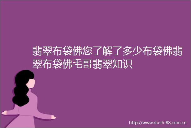 翡翠布袋佛您了解了多少布袋佛翡翠布袋佛毛哥翡翠知识