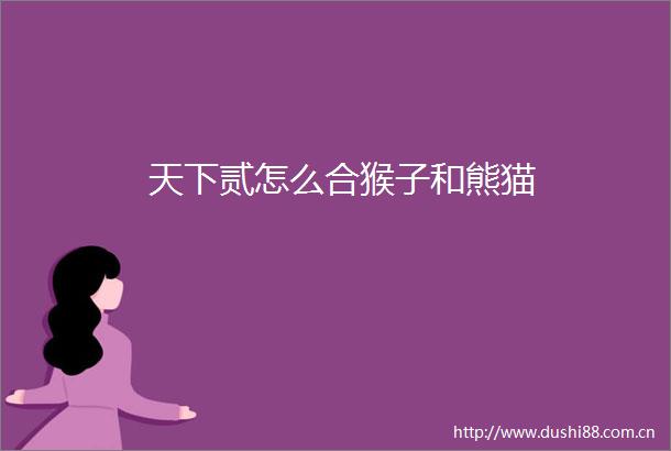 天下贰怎么合猴子和熊猫