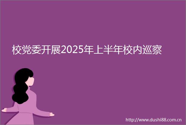 校党委开展2025年上半年校内巡察