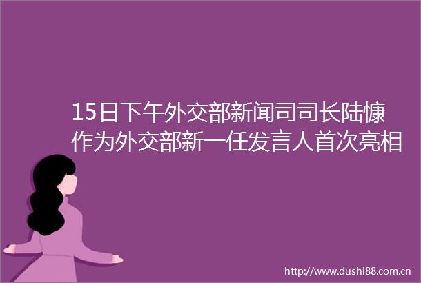 15日下午外交部新闻司司长陆慷作为外交部新一任发言人首次亮相例行记者会回答中外记者提问