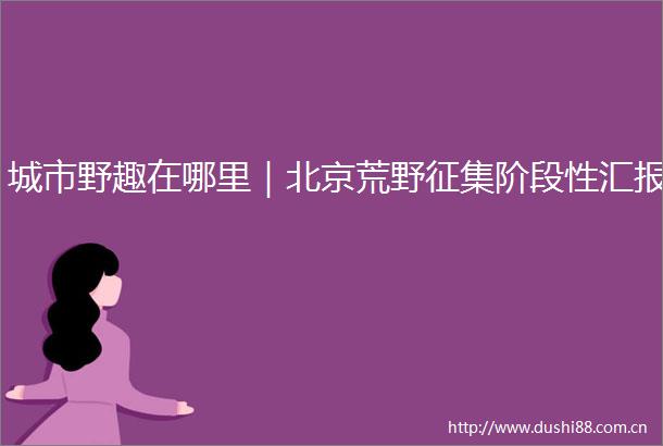 城市野趣在哪里｜北京荒野征集阶段性汇报