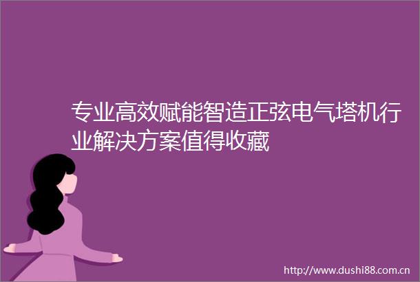 专业高效赋能智造正弦电气塔机行业解决方案值得收藏