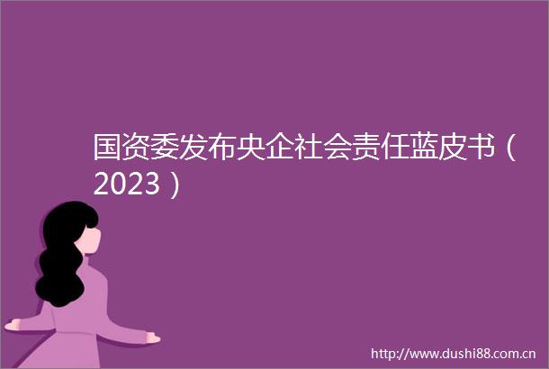 国资委发布央企社会责任蓝皮书（2023）