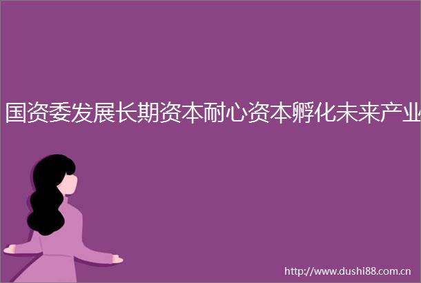 国资委发展长期资本耐心资本孵化未来产业