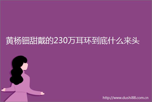 黄杨钿甜戴的230万耳环到底什么来头