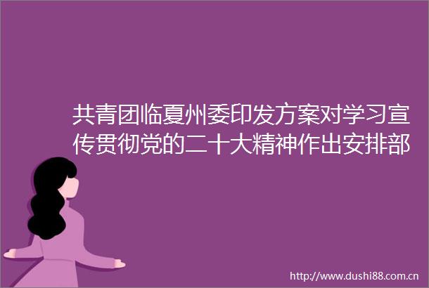 共青团临夏州委印发方案对学习宣传贯彻党的二十大精神作出安排部署
