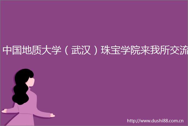 地质大学（武汉）珠宝学院来我所交流