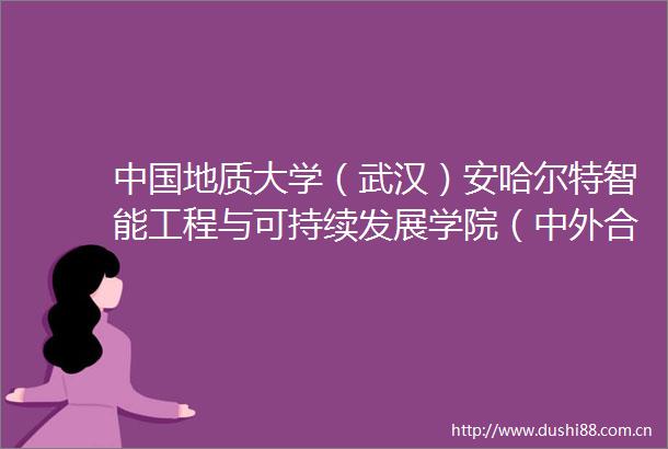 地质大学（武汉）安哈尔特智能工程与可持续发展学院（中外合作办学机构）