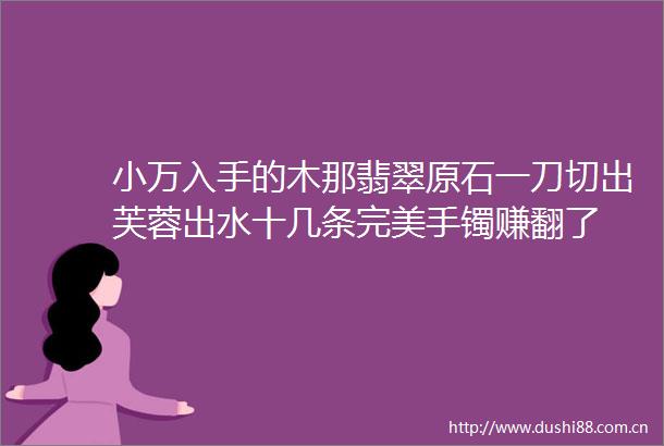 小万入手的木那翡翠原石一刀切出芙蓉出水十几条完美手镯赚翻了