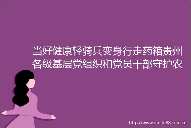 当好健康轻骑兵变身行走药箱贵州各级基层党组织和党员守护农村群众健康安全最后一公里