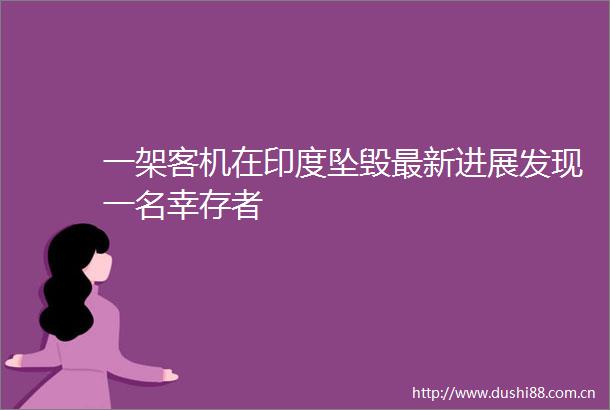 一架客机在印度坠毁最新进展发现一名幸存者