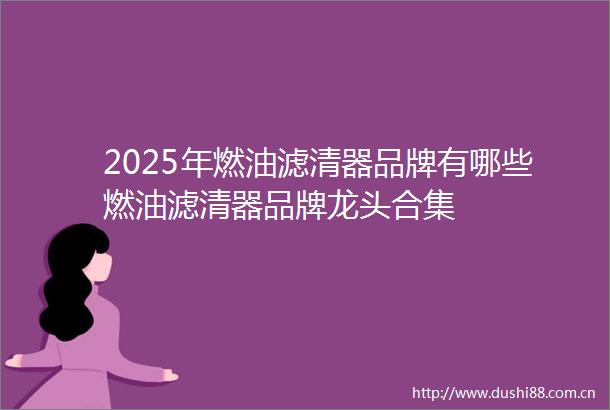 2025年燃油滤清器品牌有哪些燃油滤清器品牌龙头合集