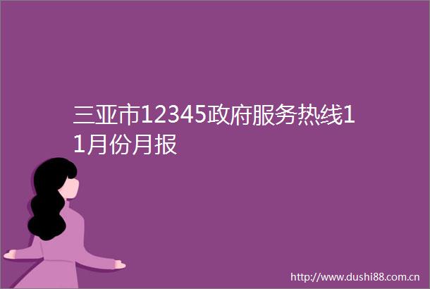 三亚市12345服务热线11月份月报