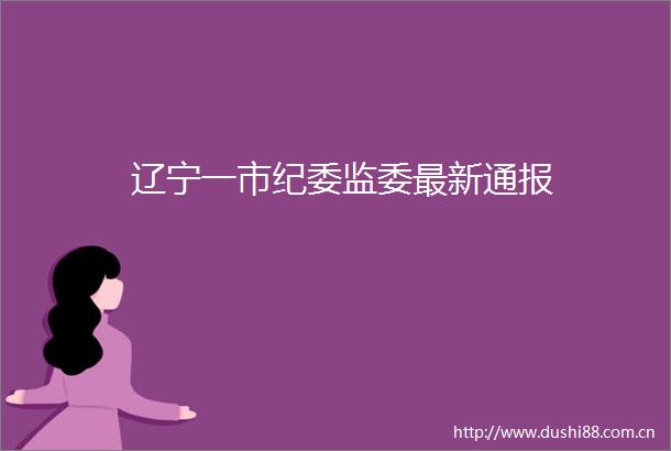 辽宁一市纪委监委最新通报
