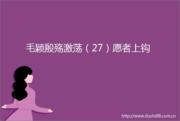 毛颖殷殇激荡（27）愿者上钩