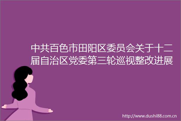 百色市田阳区委员会关于十二届自治区党委第三轮巡视整改进展情况的通报