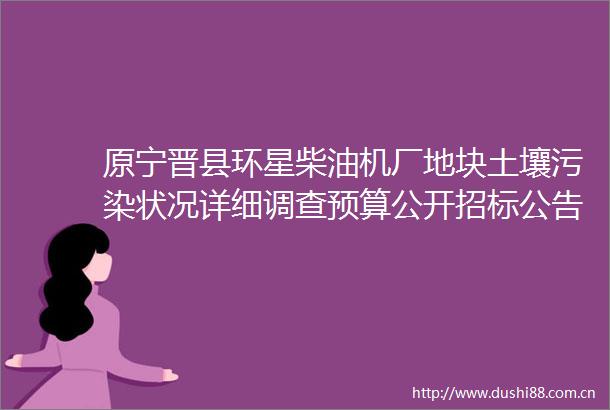 原宁晋县环星柴油机厂地块土壤污染状况详细调查预算公开招标公告