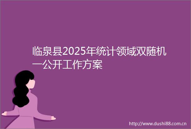 临泉县2025年统计领域双随机一公开工作方案