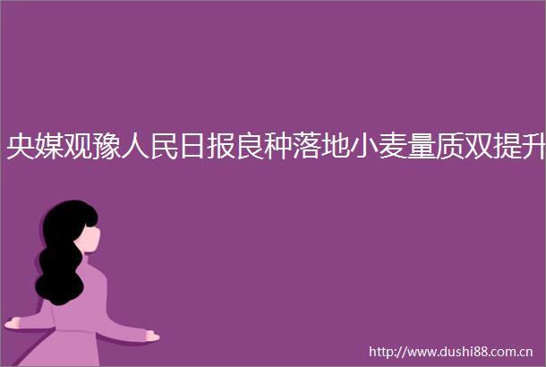央媒观豫日报良种落地小麦量质双提升