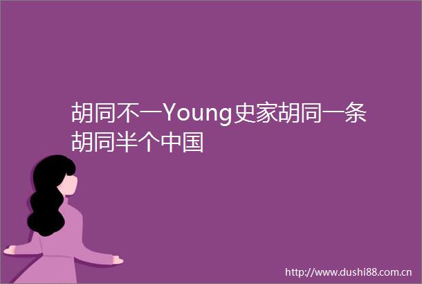 胡同不一Young史家胡同一条胡同半个