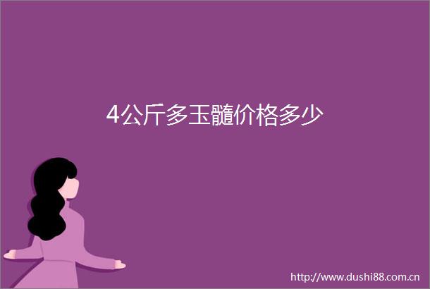 4公斤多玉髓价格多少