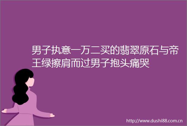 男子执意一万二买的翡翠原石与帝王绿擦肩而过男子抱头痛哭