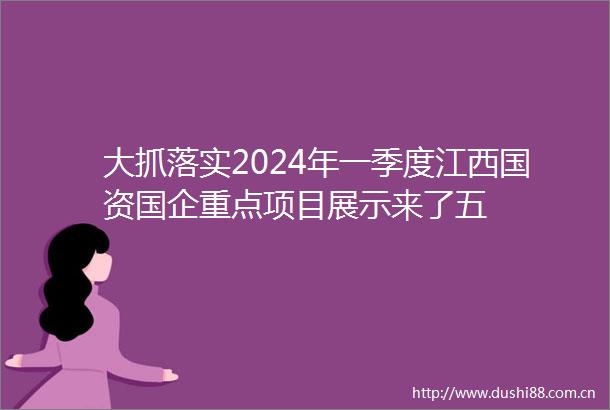 大抓落实2024年一季度江西国资国企重点项目展示来了五