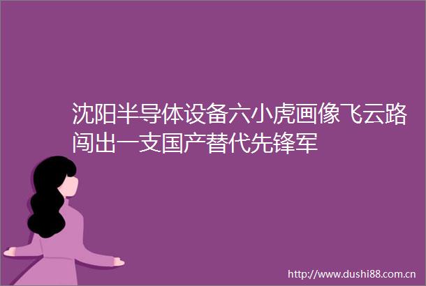 沈阳半导体设备六小虎画像飞云路闯出一支国产替代先锋军