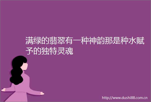 满绿的翡翠有一种神韵那是种水赋予的独特灵魂