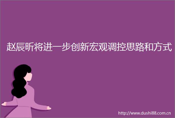 赵辰昕将进一步创新宏观调控思路和方式
