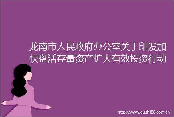 龙南市办公室关于印发加快盘活存量资产扩大有效投资行动方案的通知