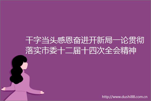 干字当头感恩奋进开新局一论贯彻落实市委十二届十四次全会精神