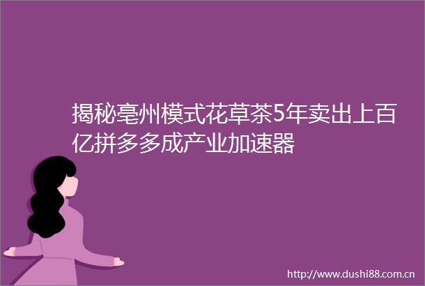 揭秘亳州模式花草茶5年卖出上百亿拼多多成产业加速器
