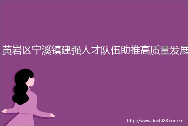 黄岩区宁溪镇建强人才队伍助推高质量发展