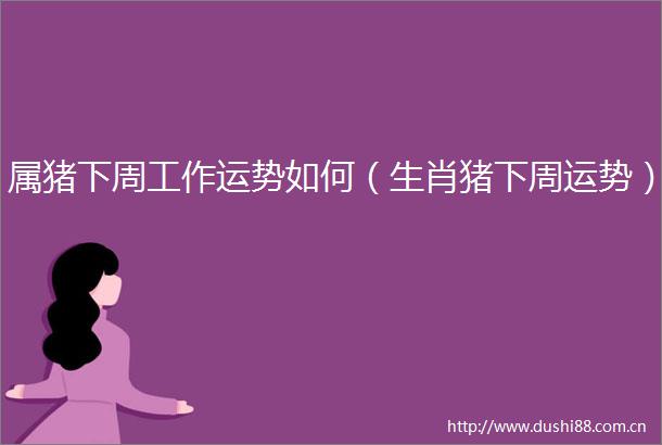 属猪下周工作运势如何（生肖猪下周运势）
