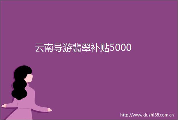 云南导游翡翠补贴5000