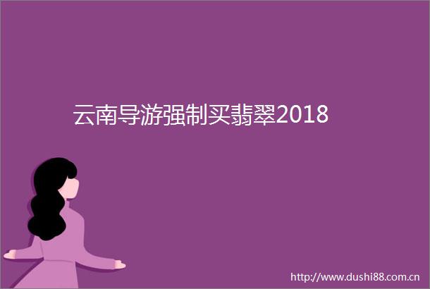 云南导游强制买翡翠2018