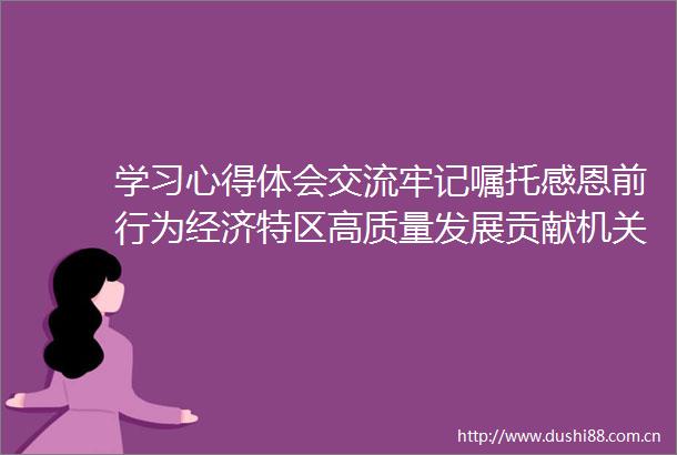 学习心得体会交流牢记嘱托感恩前行为经济特区高质量发展贡献机关力量