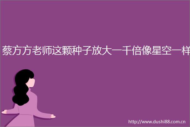 蔡方方老师这颗种子放大一千倍像星空一样