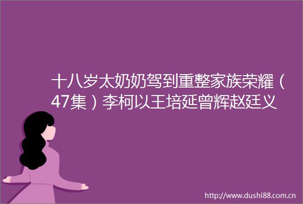 十八岁太奶奶驾到重整家族荣耀（47集）李柯以王培延曾辉赵廷义剧物介绍