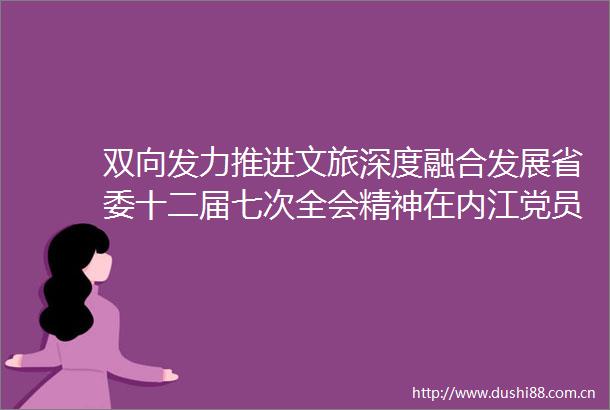 双向发力推进文旅深度融合发展省委十二届七次全会精神在内江党员中引发热烈反响