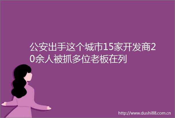 出手这个城市15家开发商20余人被抓多位老板在列