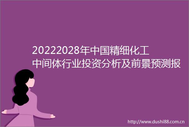 20222028年精细化工中间体行业投资分析及前景预测报告