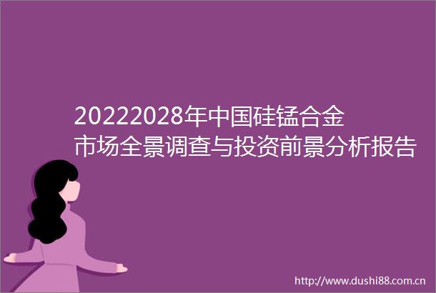 20222028年硅锰合金市场全景调查与投资前景分析报告